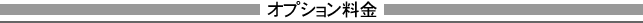 オプション料金